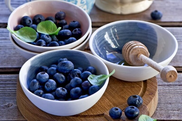 Blueberry berry: proper nutrition