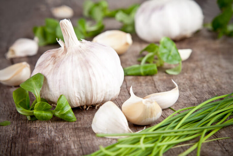 “Dragon’s tooth” against viruses and bacteria: what is useful for garlic