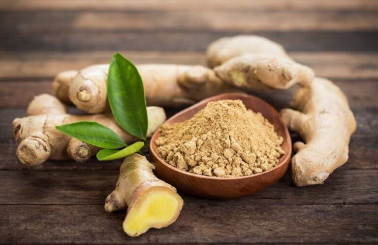 All about the properties of ginger root: how it is useful and to whom it is harmful